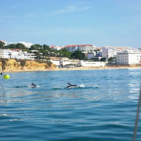 Eber - Independent 1 & 2 Bedroom Apartments, Pool, Air Con, Fast Wi-fi, Near Old Town Of And Beaches * 알부페이라